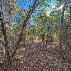 Photo #38 of SOLD property in Off County Line Rd, La Grange, NC 1.3 acres