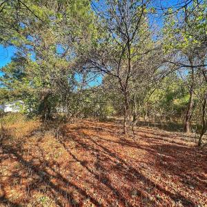 Photo #39 of SOLD property in Off County Line Rd, La Grange, NC 1.3 acres