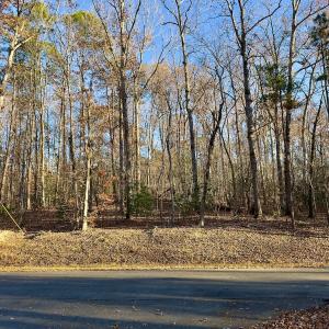 Photo #1 of SOLD property in 176 Suwanee Rd, Troy, NC 0.6 acres