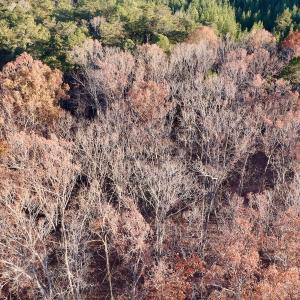 Photo #11 of SOLD property in 176 Suwanee Rd, Troy, NC 0.6 acres