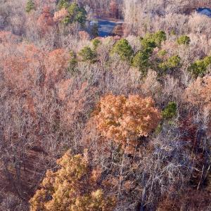 Photo #12 of SOLD property in 176 Suwanee Rd, Troy, NC 0.6 acres