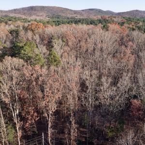 Photo #13 of SOLD property in 176 Suwanee Rd, Troy, NC 0.6 acres
