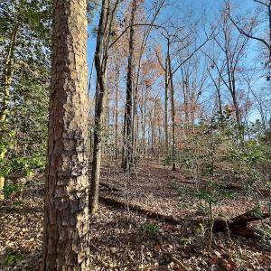 Photo #14 of SOLD property in 176 Suwanee Rd, Troy, NC 0.6 acres