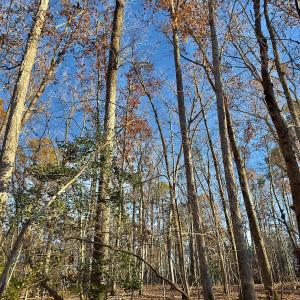 Photo #15 of SOLD property in 176 Suwanee Rd, Troy, NC 0.6 acres