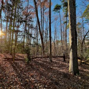 Photo #16 of SOLD property in 176 Suwanee Rd, Troy, NC 0.6 acres