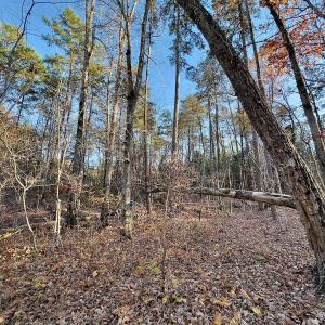 Photo #17 of SOLD property in 176 Suwanee Rd, Troy, NC 0.6 acres