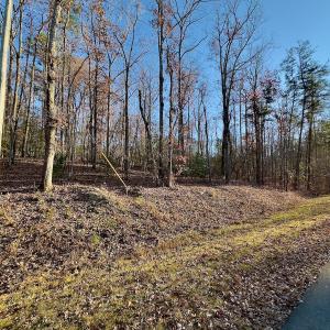 Photo #2 of SOLD property in 176 Suwanee Rd, Troy, NC 0.6 acres