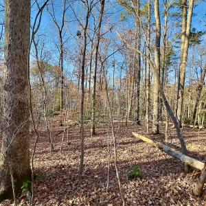 Photo #20 of SOLD property in 176 Suwanee Rd, Troy, NC 0.6 acres