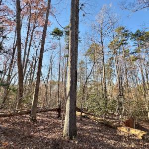 Photo #21 of SOLD property in 176 Suwanee Rd, Troy, NC 0.6 acres