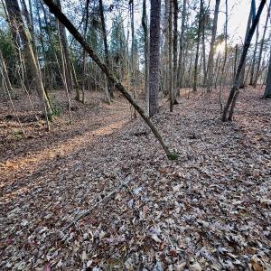 Photo #22 of SOLD property in 176 Suwanee Rd, Troy, NC 0.6 acres