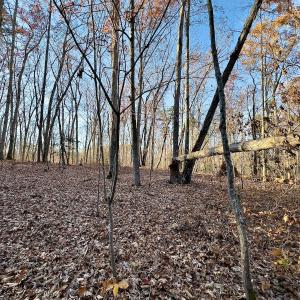 Photo #23 of SOLD property in 176 Suwanee Rd, Troy, NC 0.6 acres