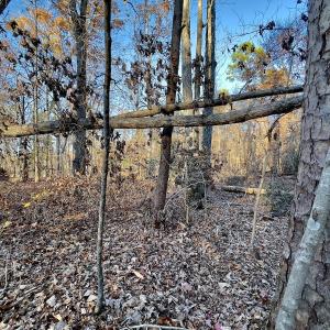 Photo #24 of SOLD property in 176 Suwanee Rd, Troy, NC 0.6 acres
