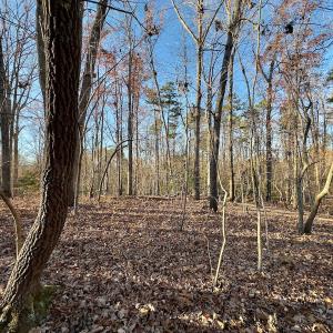 Photo #25 of SOLD property in 176 Suwanee Rd, Troy, NC 0.6 acres