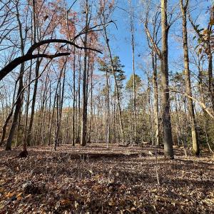 Photo #26 of SOLD property in 176 Suwanee Rd, Troy, NC 0.6 acres