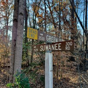 Photo #4 of SOLD property in 176 Suwanee Rd, Troy, NC 0.6 acres