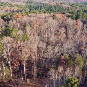 Photo #5 of SOLD property in 176 Suwanee Rd, Troy, NC 0.6 acres