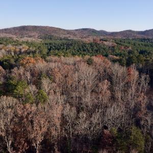Photo #6 of SOLD property in 176 Suwanee Rd, Troy, NC 0.6 acres