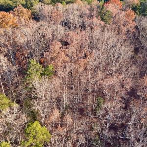 Photo #7 of SOLD property in 176 Suwanee Rd, Troy, NC 0.6 acres