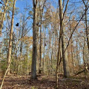 Photo #8 of SOLD property in 176 Suwanee Rd, Troy, NC 0.6 acres