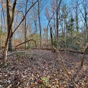 Photo #9 of SOLD property in 176 Suwanee Rd, Troy, NC 0.6 acres