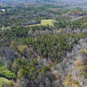 Photo #9 of Lot-1, Off Park Springs Road, Providence, NC 10.9 acres