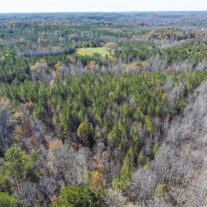 Photo #20 of Lot-1, Off Park Springs Road, Providence, NC 10.9 acres