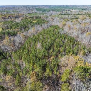 Photo #26 of Lot-1, Off Park Springs Road, Providence, NC 10.9 acres