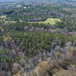 Photo #32 of Lot-1, Off Park Springs Road, Providence, NC 10.9 acres
