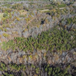 Photo #35 of Lot-1, Off Park Springs Road, Providence, NC 10.9 acres