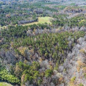 Photo #39 of Lot-1, Off Park Springs Road, Providence, NC 10.9 acres