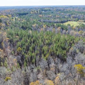 Photo #41 of Lot-1, Off Park Springs Road, Providence, NC 10.9 acres
