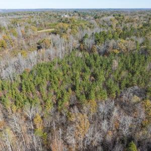 Photo #42 of Lot-1, Off Park Springs Road, Providence, NC 10.9 acres