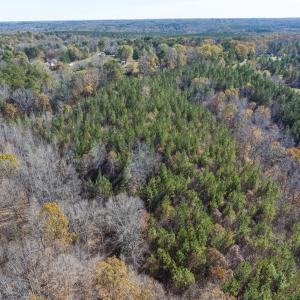 Photo #43 of Lot-1, Off Park Springs Road, Providence, NC 10.9 acres