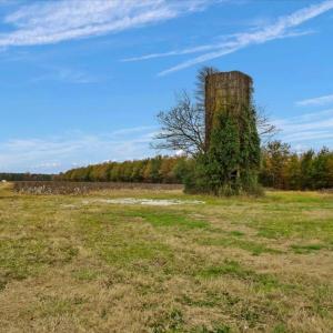 Photo #12 of SOLD property in Off Hwy 561, Halifax, NC 557.1 acres