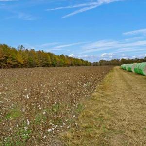 Photo #13 of SOLD property in Off Hwy 561, Halifax, NC 557.1 acres