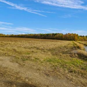 Photo #15 of SOLD property in Off Hwy 561, Halifax, NC 557.1 acres