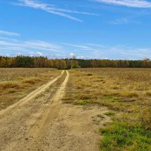 Photo #17 of SOLD property in Off Hwy 561, Halifax, NC 557.1 acres