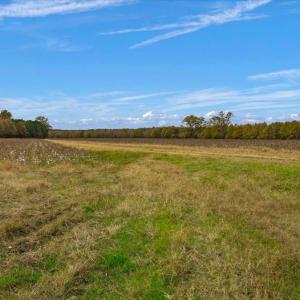 Photo #19 of SOLD property in Off Hwy 561, Halifax, NC 557.1 acres