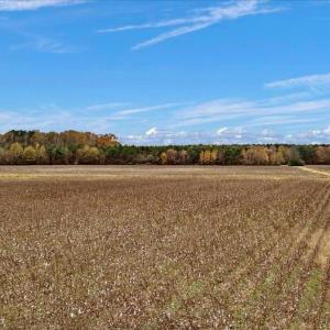 Photo #20 of SOLD property in Off Hwy 561, Halifax, NC 557.1 acres