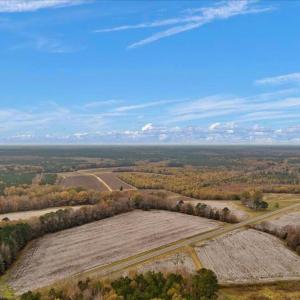 Photo #3 of SOLD property in Off Hwy 561, Halifax, NC 557.1 acres