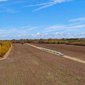 Photo #21 of SOLD property in Off Hwy 561, Halifax, NC 557.1 acres