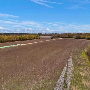 Photo #22 of SOLD property in Off Hwy 561, Halifax, NC 557.1 acres