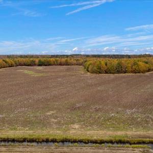 Photo #23 of SOLD property in Off Hwy 561, Halifax, NC 557.1 acres