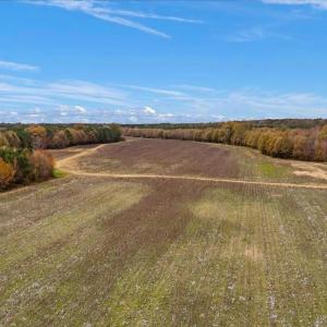Photo #24 of SOLD property in Off Hwy 561, Halifax, NC 557.1 acres