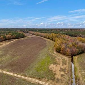 Photo #25 of SOLD property in Off Hwy 561, Halifax, NC 557.1 acres