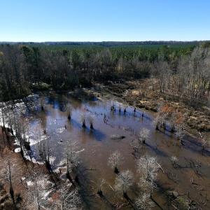 Photo #27 of SOLD property in Off Hwy 561, Halifax, NC 557.1 acres