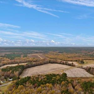 Photo #4 of SOLD property in Off Hwy 561, Halifax, NC 557.1 acres