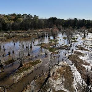 Photo #32 of SOLD property in Off Hwy 561, Halifax, NC 557.1 acres