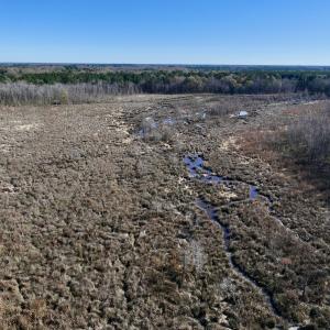 Photo #34 of SOLD property in Off Hwy 561, Halifax, NC 557.1 acres