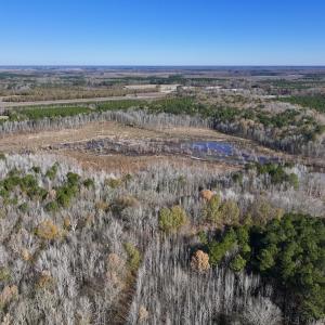 Photo #36 of SOLD property in Off Hwy 561, Halifax, NC 557.1 acres